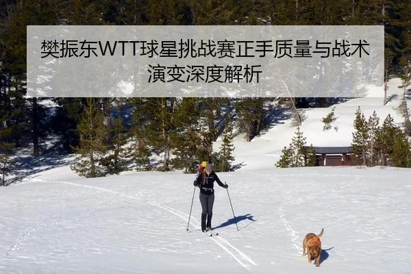 樊振东WTT球星挑战赛正手质量与战术演变深度解析