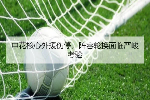 申花核心外援伤停，阵容轮换面临严峻考验