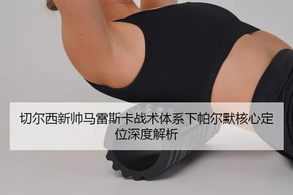 qie-er-xi-xin-shuai-ma-lei-si-ka-zhan-shu-ti-xi-xia-pa-er-mo-he-xin-ding-wei-shen-du-jie-xi-2-372.jpg