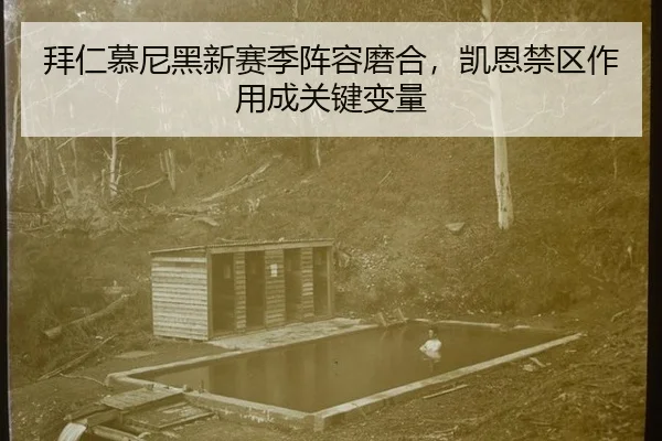 拜仁慕尼黑新赛季阵容磨合，凯恩禁区作用成关键变量