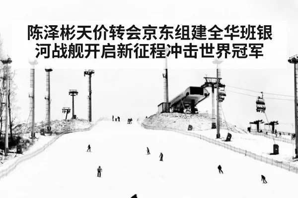 陈泽彬天价转会京东组建全华班银河战舰开启新征程冲击世界冠军