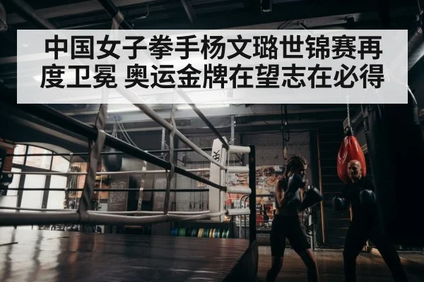 boxer training in gym