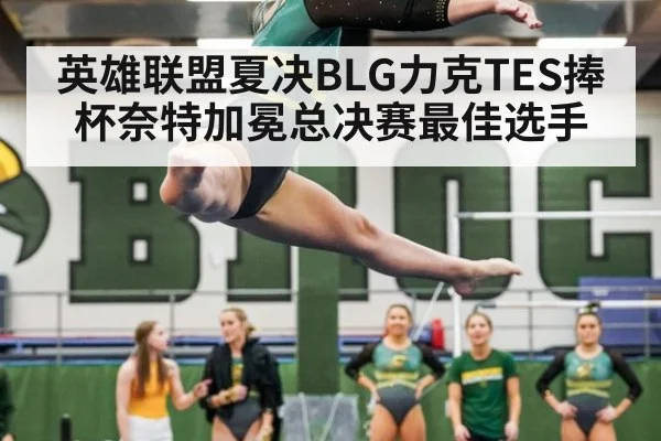 英雄联盟夏决BLG力克TES捧杯奈特加冕总决赛最佳选手